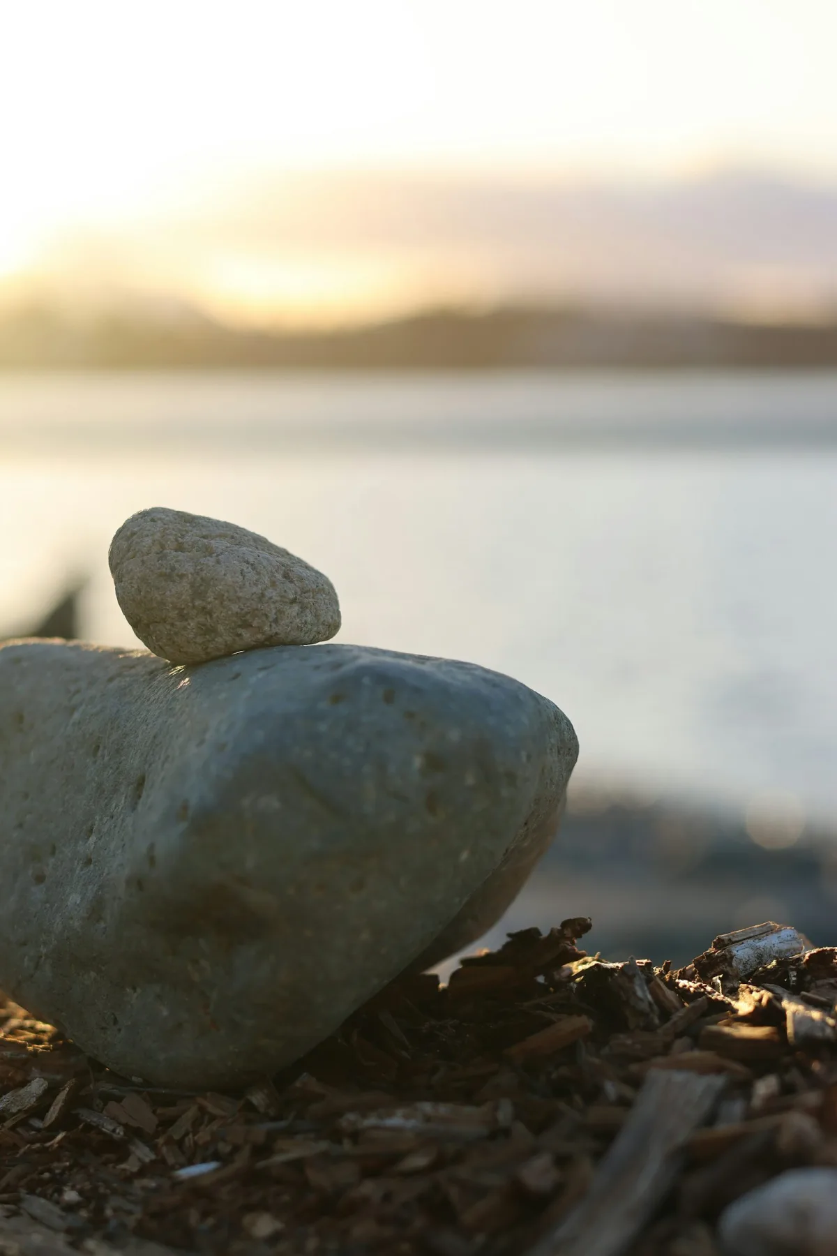 Digital Chi Meditation: Mindfulness Practices for the Connected Age