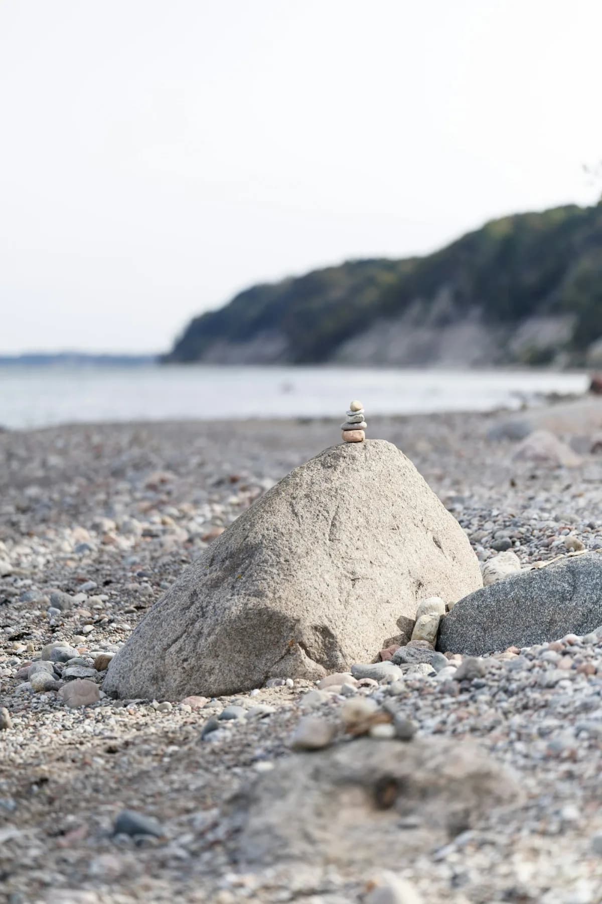 The Digital Five Elements: Balancing Your Digital Diet for Optimal Well-being