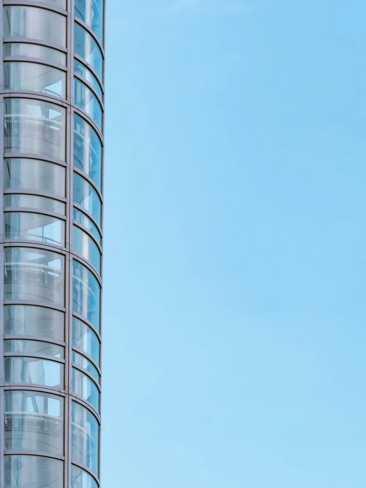 Digital Minimalism vs Digital Feng Shui: Which Path to Digital Wellness?